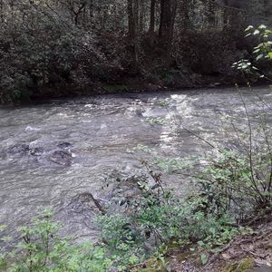 Meet your Posher, Jacki